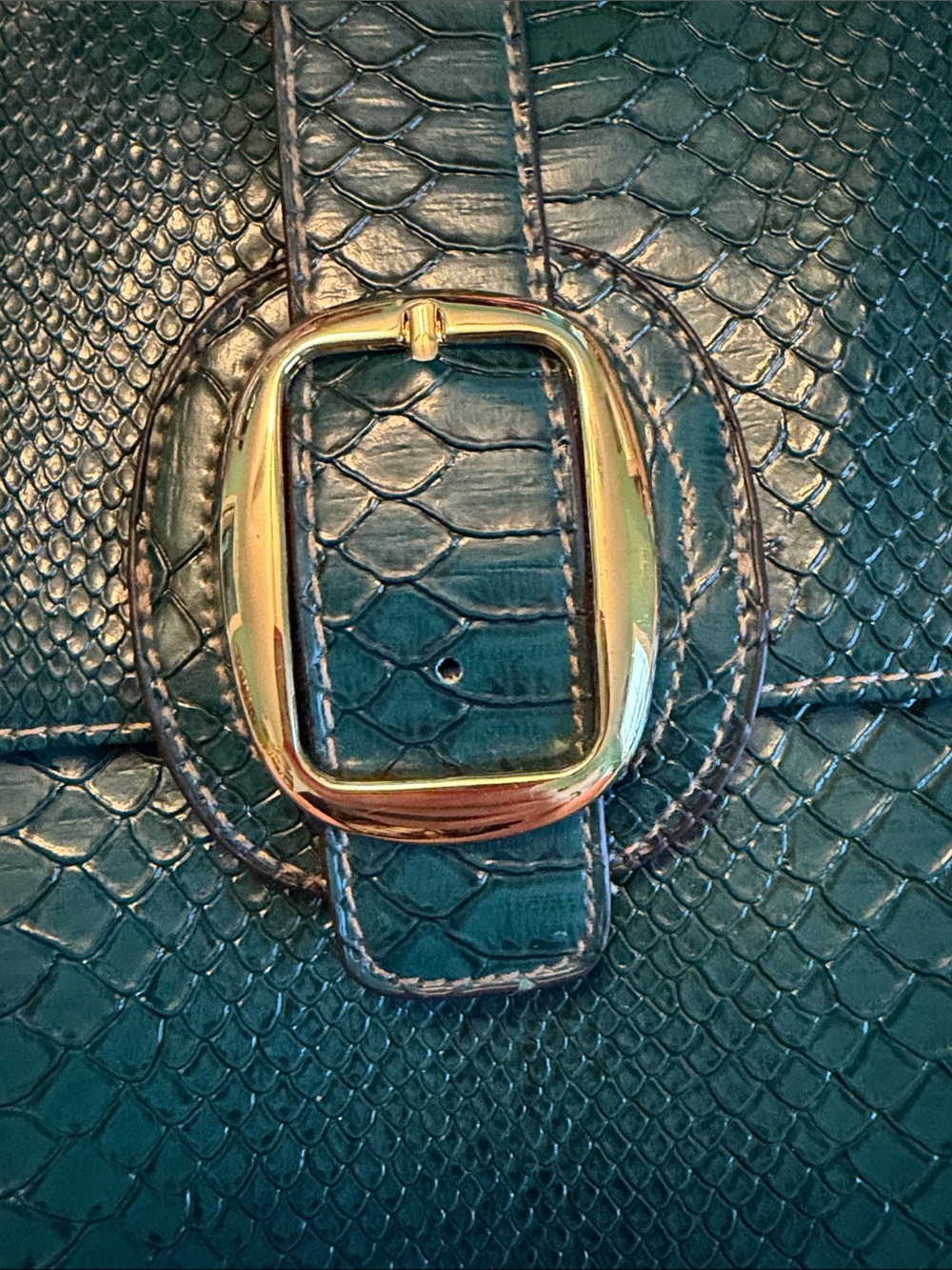 Deep Teal Animal Skin Faux Leather Clutch Gold Buckle Glossy Purse Handbag - Picture 6 of 10